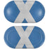 Scotland Flag Distressed Galaxy Buds Plus Skin